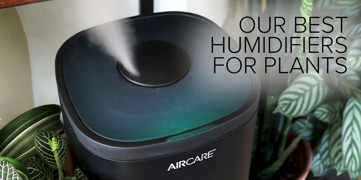Our Best Humidifiers for Plants - AIRCARE Ultrasonic, Evaporative, & Steam  Humidifiers
